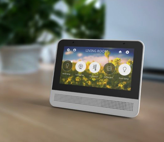 Smart Hub or Speaker Set Up